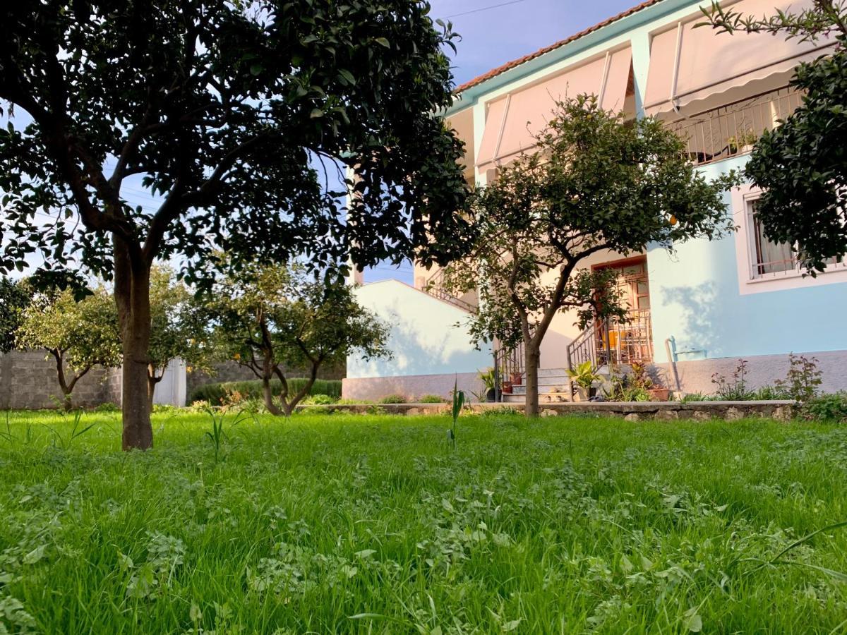 Mia Guest House - Entire Home With Balcony & Garden Divjaka Exterior foto